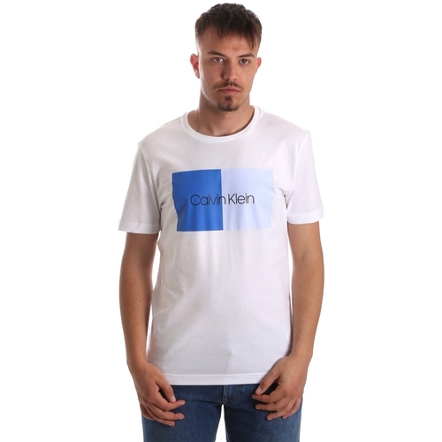 Abbigliamento Uomo T-shirt & Polo Calvin Klein Jeans K10K103497 Bianco