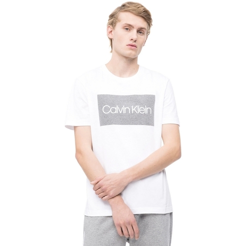 Abbigliamento Uomo T-shirt & Polo Calvin Klein Jeans K10K103654 Bianco