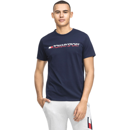 Abbigliamento Uomo T-shirt & Polo Tommy Hilfiger S20S200051 Blu