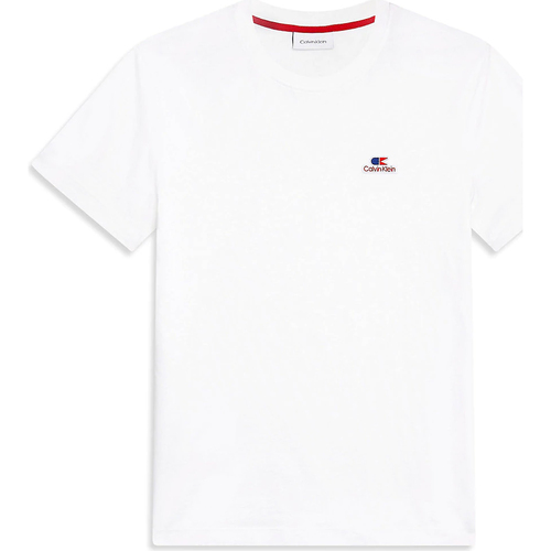 Abbigliamento Uomo T-shirt & Polo Calvin Klein Jeans K10K103959 Bianco