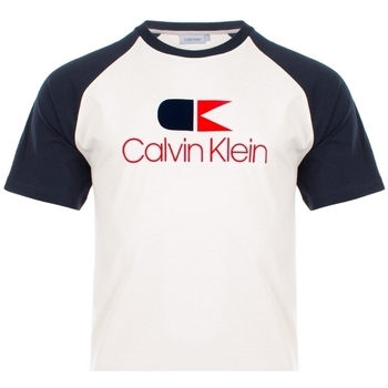 Abbigliamento Uomo T-shirt & Polo Calvin Klein Jeans K10K104040 Blu