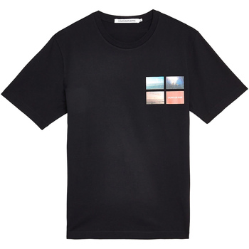 Abbigliamento Uomo T-shirt maniche corte Calvin Klein Jeans J30J312834 Nero