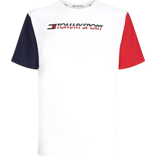 Abbigliamento Uomo T-shirt & Polo Tommy Hilfiger S20S200103 Bianco