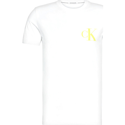 Abbigliamento Uomo T-shirt & Polo Calvin Klein Jeans J30J315175 Bianco