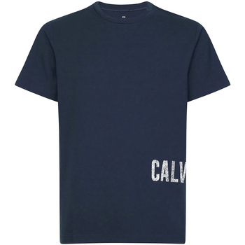 Abbigliamento Uomo T-shirt & Polo Calvin Klein Jeans 00GMH9K287 Blu
