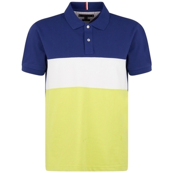 Abbigliamento Uomo T-shirt & Polo Tommy Hilfiger MW0MW13092 Blu