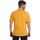 Abbigliamento Uomo T-shirt & Polo Les Copains 9U9021 Giallo