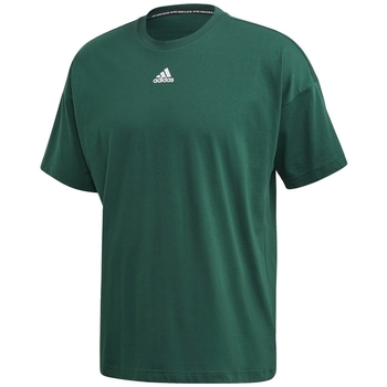 Abbigliamento Uomo T-shirt & Polo adidas Originals FL3915 Verde