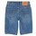 Abbigliamento Bambino Shorts / Bermuda Levi's PERFORMANCE SHORT Blu