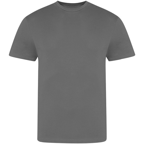 Abbigliamento Uomo T-shirts a maniche lunghe Awdis The 100 Grigio