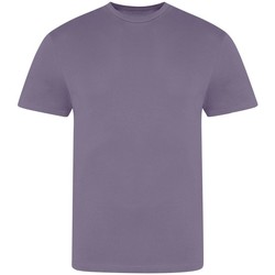 Abbigliamento Uomo T-shirts a maniche lunghe Awdis The 100 Viola