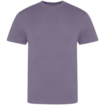Abbigliamento Uomo T-shirts a maniche lunghe Awdis JT100 Viola