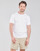 Abbigliamento Uomo T-shirt maniche corte Polo Ralph Lauren T-SHIRT AJUSTE COL ROND EN PIMA COTON LOGO PONY PLAYER MULTICOLO Bianco