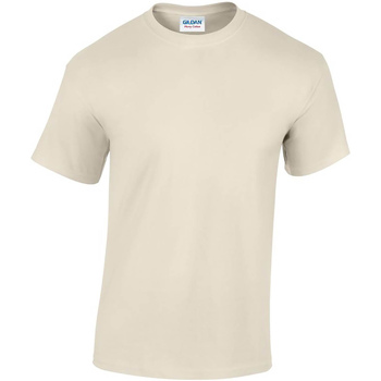 Abbigliamento Uomo T-shirts a maniche lunghe Gildan Heavy Cotton Beige