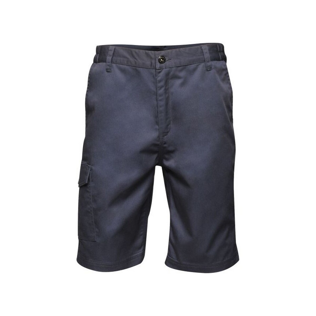 Abbigliamento Uomo Shorts / Bermuda Regatta Pro Blu