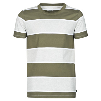 Abbigliamento Uomo T-shirt maniche corte Esprit T-SHIRTS Kaki