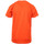 Abbigliamento Bambino T-shirt & Polo Hungaria H-15TMJUBA00 Arancio