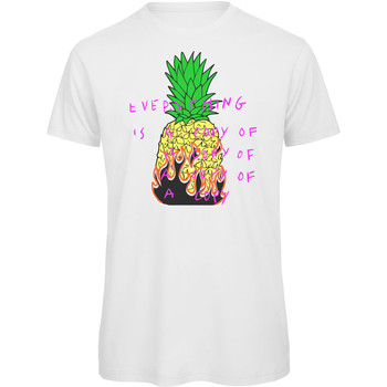 Abbigliamento Uomo T-shirt maniche corte Openspace Pineapple Bianco
