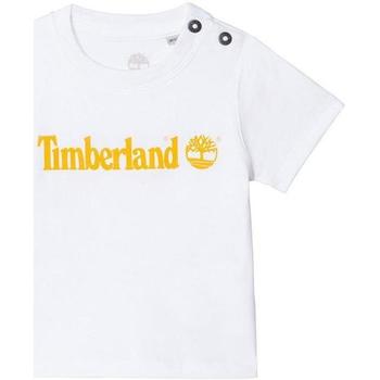 Abbigliamento Bambina T-shirt & Polo Timberland . Bianco