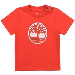 Abbigliamento Bambino T-shirt & Polo Timberland . Rosso