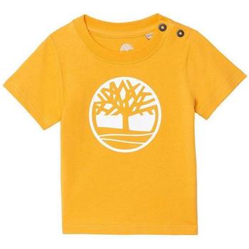 Abbigliamento Bambino T-shirt & Polo Timberland . Giallo