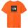 Abbigliamento Uomo T-shirt & Polo The North Face . FIAMMA Arancio