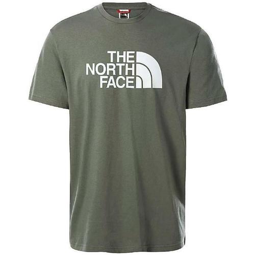 Abbigliamento Uomo T-shirt & Polo The North Face . SALVIA Verde