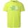 Abbigliamento Uomo T-shirt & Polo The North Face . ACIDO Verde