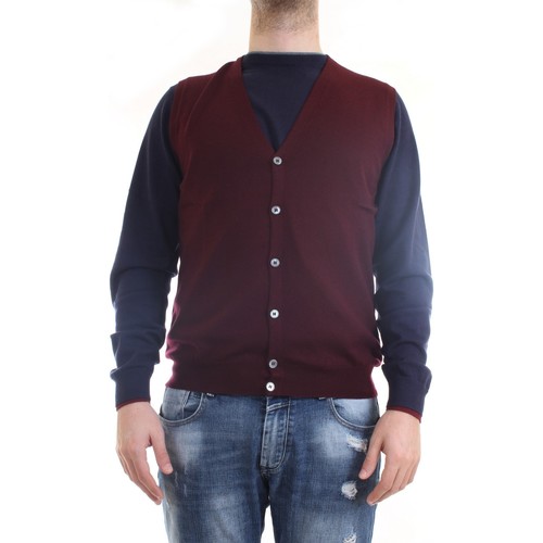 Abbigliamento Uomo Gilet / Cardigan Gran Sasso 58182/14296 Rosso