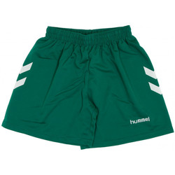 Abbigliamento Bambina Shorts / Bermuda hummel 405CLVB Verde