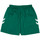 Abbigliamento Uomo Shorts / Bermuda hummel 405CLVB Verde