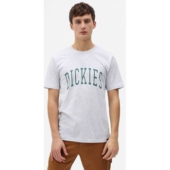 Abbigliamento Uomo T-shirt maniche corte Dickies T-shirt  Aitkin Grigio