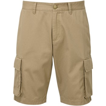 Abbigliamento Uomo Shorts / Bermuda Asquith & Fox AQ054 Multicolore
