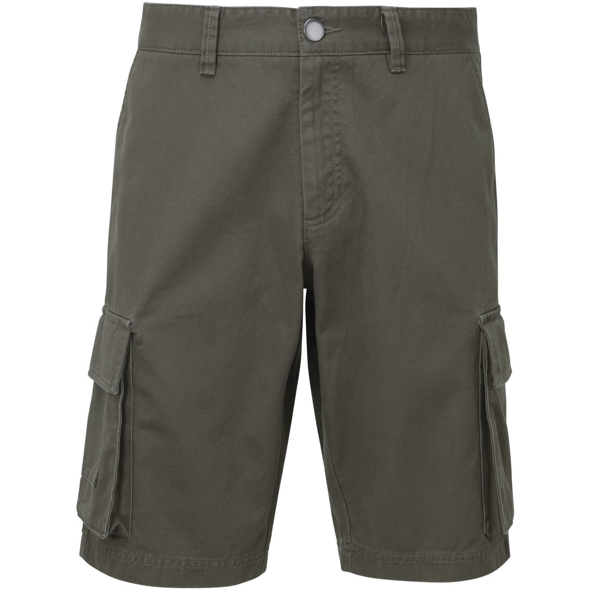 Abbigliamento Uomo Shorts / Bermuda Asquith & Fox AQ054 Grigio