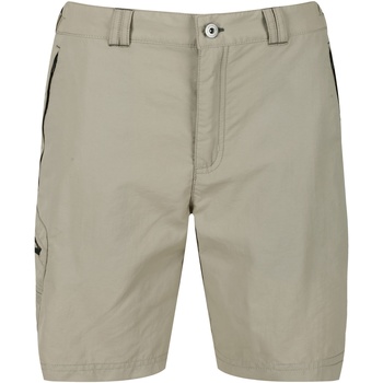 Abbigliamento Uomo Shorts / Bermuda Regatta  Beige