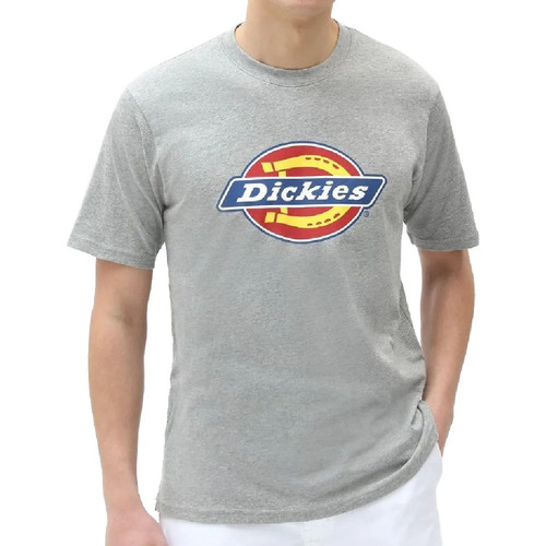 Abbigliamento Uomo T-shirt maniche corte Dickies DK0A4XC9GYM1 Grigio
