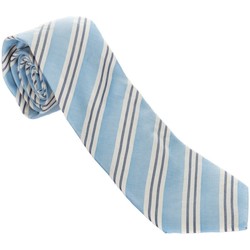 Abbigliamento Uomo Cravatte e accessori Hackett HM052518-513 Multicolore