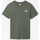 Abbigliamento Uomo T-shirt & Polo The North Face Simple Dome Tee Grigio
