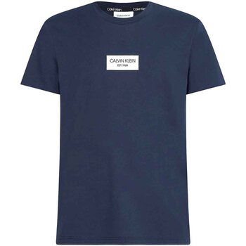 Abbigliamento Uomo T-shirt maniche corte Calvin Klein Jeans K10K106484 Blu