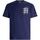 Abbigliamento Uomo T-shirt & Polo Tommy Jeans DM0DM10228 Blu