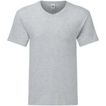 Abbigliamento Uomo T-shirts a maniche lunghe Fruit Of The Loom 61442 Grigio