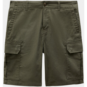 Abbigliamento Uomo Shorts / Bermuda Dickies Millerville short Verde