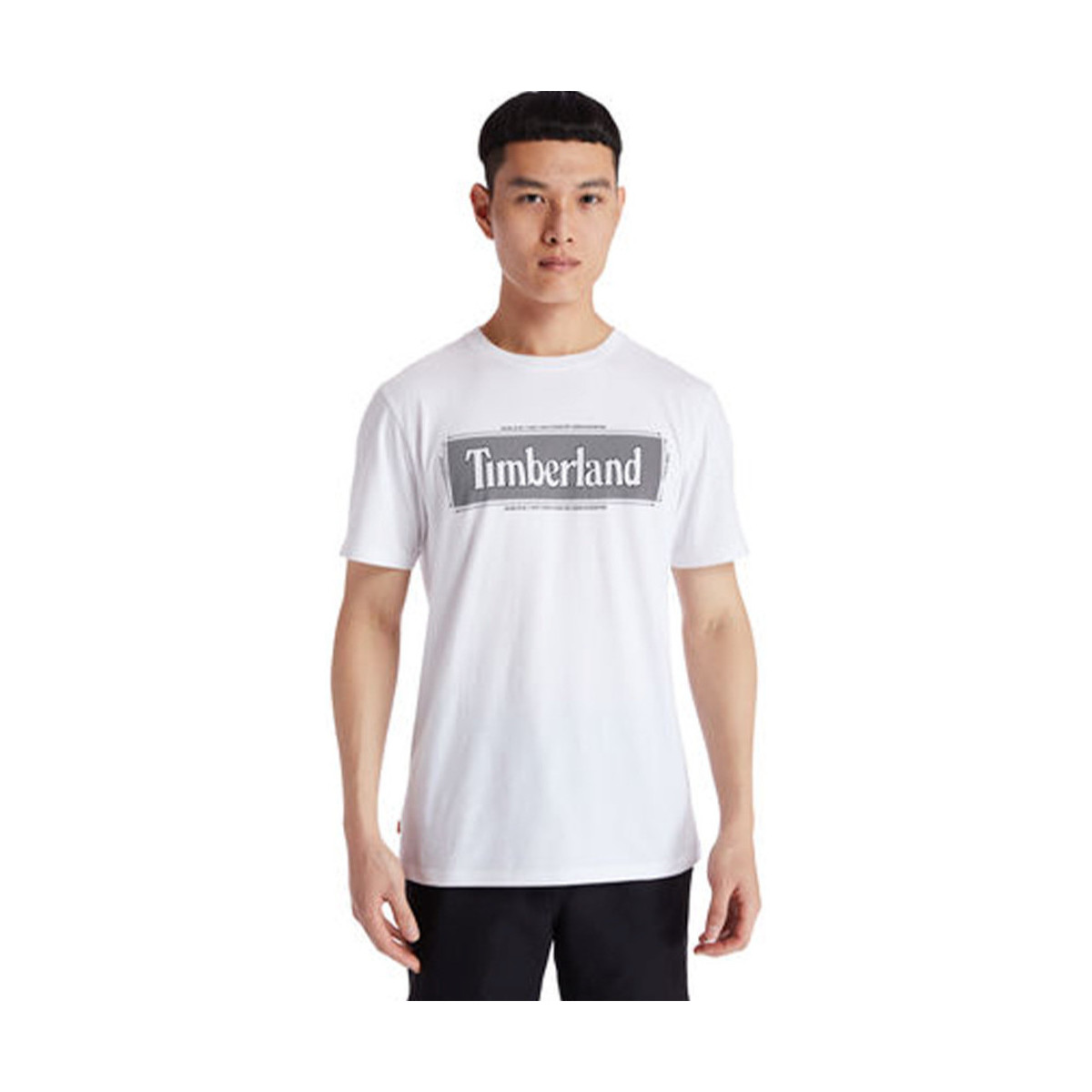 Abbigliamento Uomo T-shirt maniche corte Timberland Tfo yc ss graphic Bianco