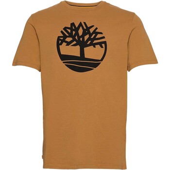 Abbigliamento Uomo T-shirt maniche corte Timberland 227485 Giallo