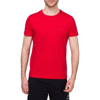 Abbigliamento Uomo T-shirt maniche corte Tommy Hilfiger MW0MW13344 Nero
