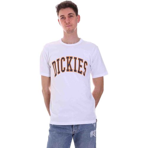 Abbigliamento Uomo T-shirt maniche corte Dickies DK0A4X9FWHX1 Bianco
