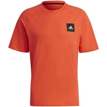 Abbigliamento Uomo T-shirt & Polo adidas Originals GM6340 Arancio