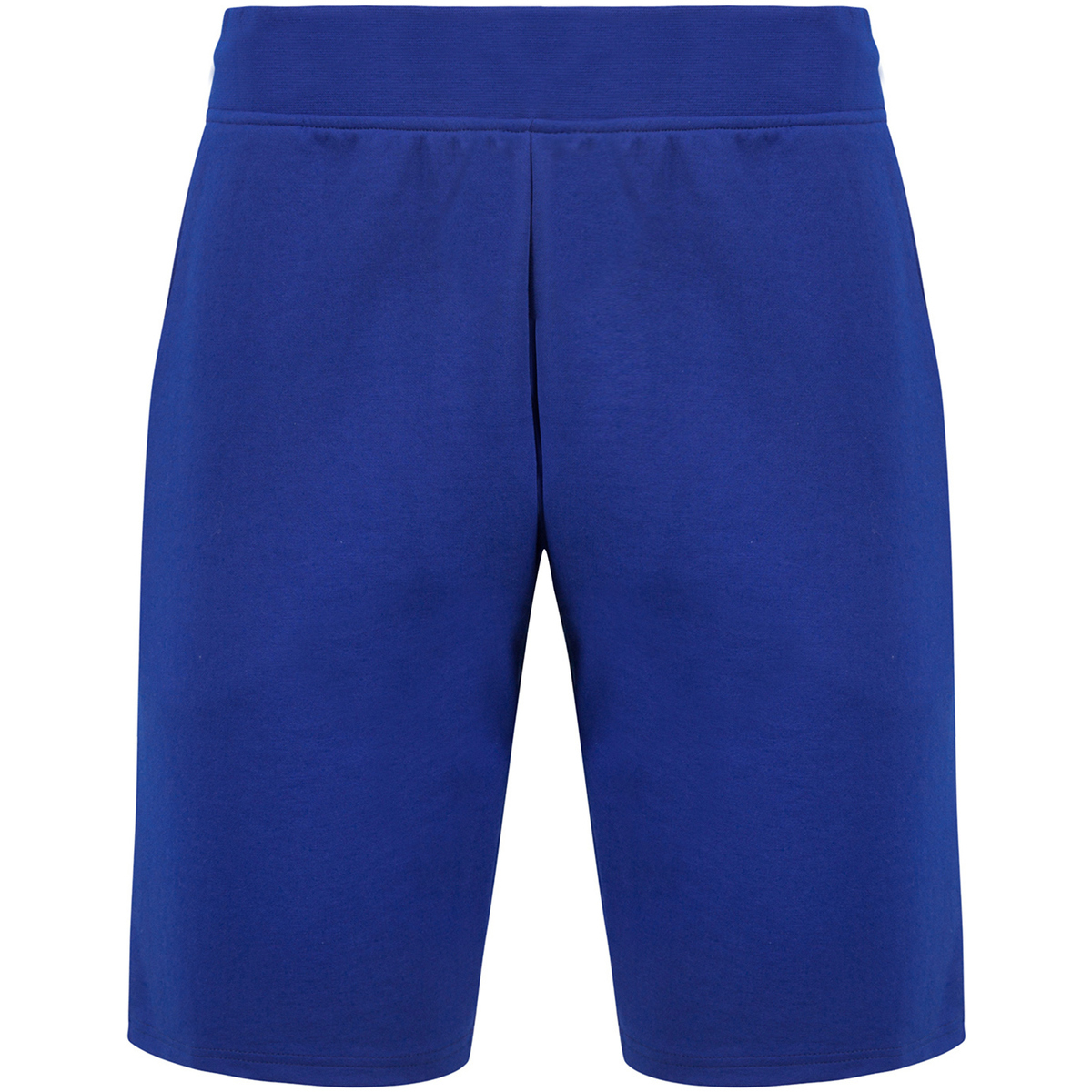 Abbigliamento Uomo Shorts / Bermuda Le Coq Sportif Short slim  Essentiels Blu