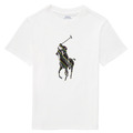 T-shirt Polo Ralph Lauren  GUILIA