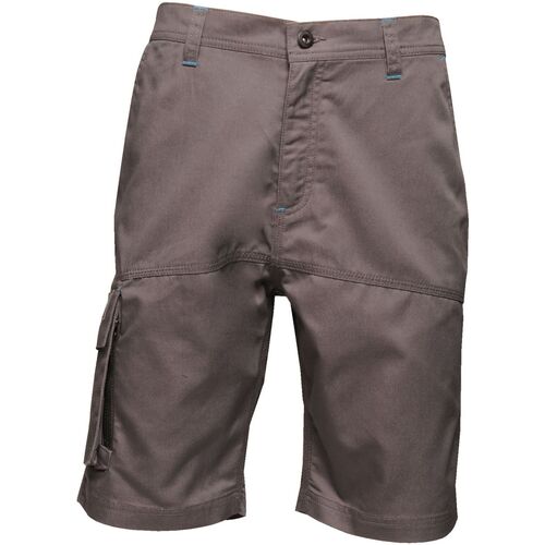 Abbigliamento Uomo Shorts / Bermuda Regatta Heroic Grigio